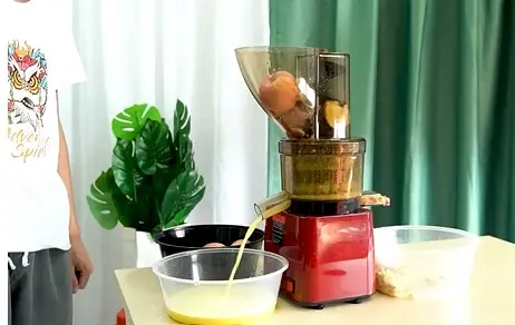 BizJuice 1200 Commercial Juicer for Medium and growing Business
